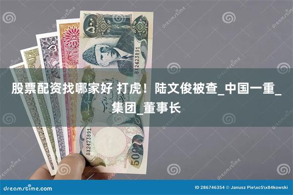 股票配资找哪家好 打虎！陆文俊被查_中国一重_集团_董事长
