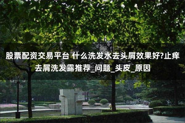 股票配资交易平台 什么洗发水去头屑效果好?止痒去屑洗发露推荐_问题_头皮_原因