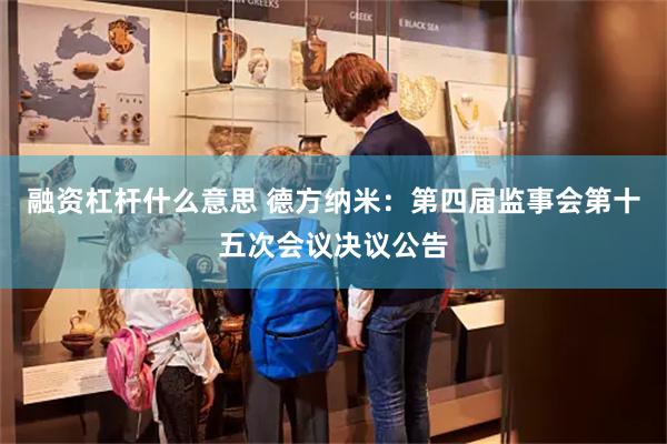 融资杠杆什么意思 德方纳米：第四届监事会第十五次会议决议公告