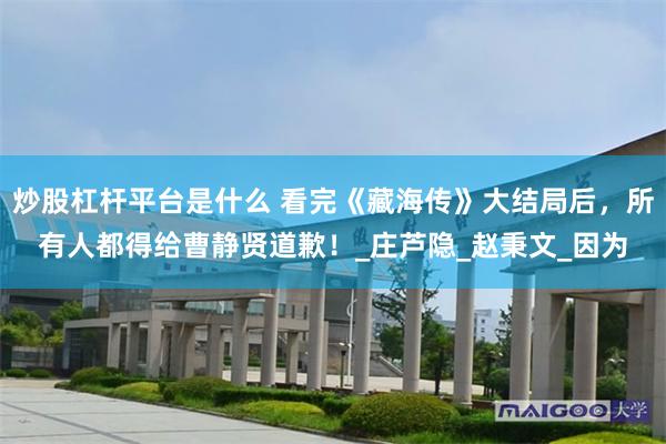 炒股杠杆平台是什么 看完《藏海传》大结局后，所有人都得给曹静贤道歉！_庄芦隐_赵秉文_因为