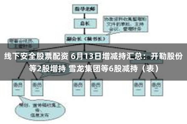 线下安全股票配资 6月13日增减持汇总：开勒股份等2股增持 雪龙集团等6股减持（表）