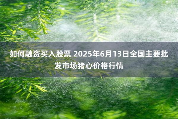 如何融资买入股票 2025年6月13日全国主要批发市场猪心价格行情