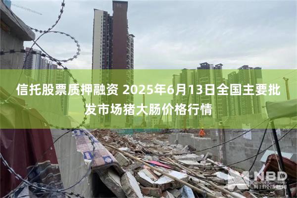 信托股票质押融资 2025年6月13日全国主要批发市场猪大肠价格行情