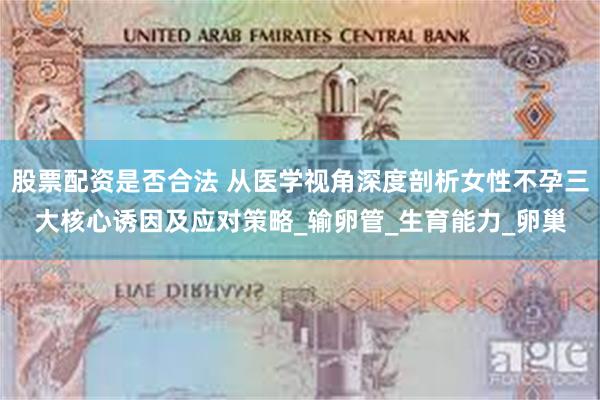 股票配资是否合法 从医学视角深度剖析女性不孕三大核心诱因及应对策略_输卵管_生育能力_卵巢