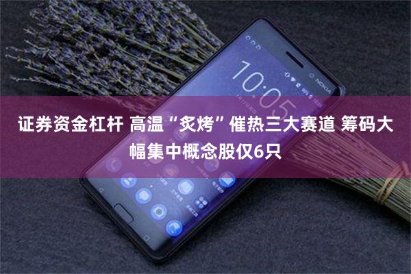 证券资金杠杆 高温“炙烤”催热三大赛道 筹码大幅集中概念股仅6只