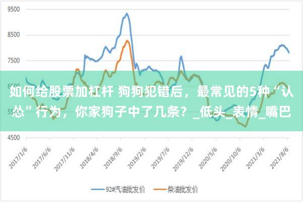 如何给股票加杠杆 狗狗犯错后，最常见的5种“认怂”行为，你家狗子中了几条？_低头_表情_嘴巴
