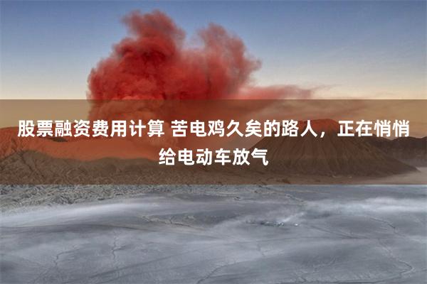 股票融资费用计算 苦电鸡久矣的路人，正在悄悄给电动车放气