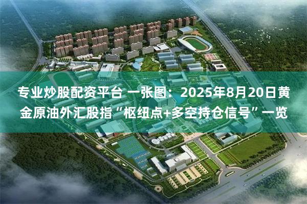 专业炒股配资平台 一张图：2025年8月20日黄金原油外汇股指“枢纽点+多空持仓信号”一览