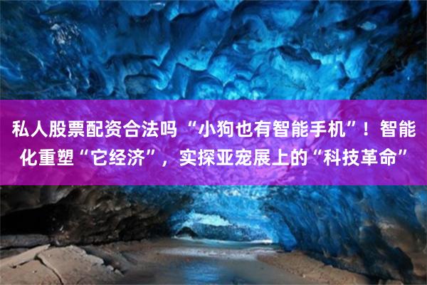 私人股票配资合法吗 “小狗也有智能手机”！智能化重塑“它经济”，实探亚宠展上的“科技革命”