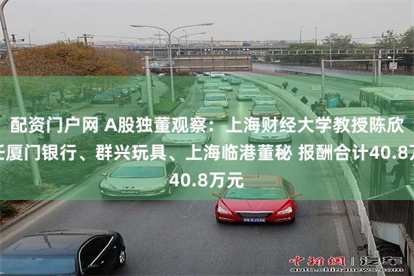 配资门户网 A股独董观察：上海财经大学教授陈欣兼任厦门银行、群兴玩具、上海临港董秘 报酬合计40.8万元
