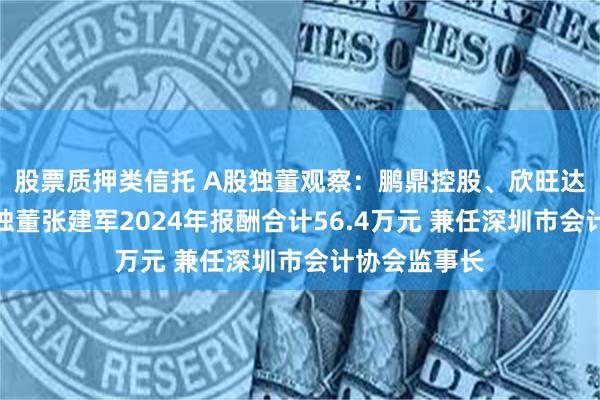 股票质押类信托 A股独董观察：鹏鼎控股、欣旺达、北鼎股份独董张建军2024年报酬合计56.4万元 兼任深圳市会计协会监事长