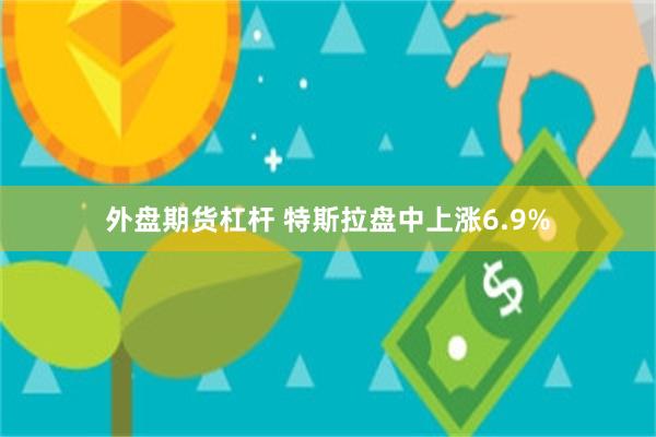 外盘期货杠杆 特斯拉盘中上涨6.9%